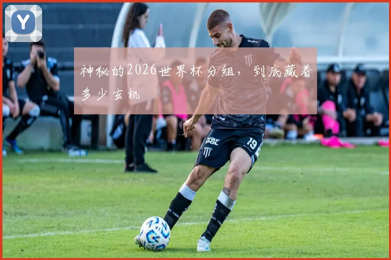 神秘的2026世界杯分组，到底藏着多少玄机
